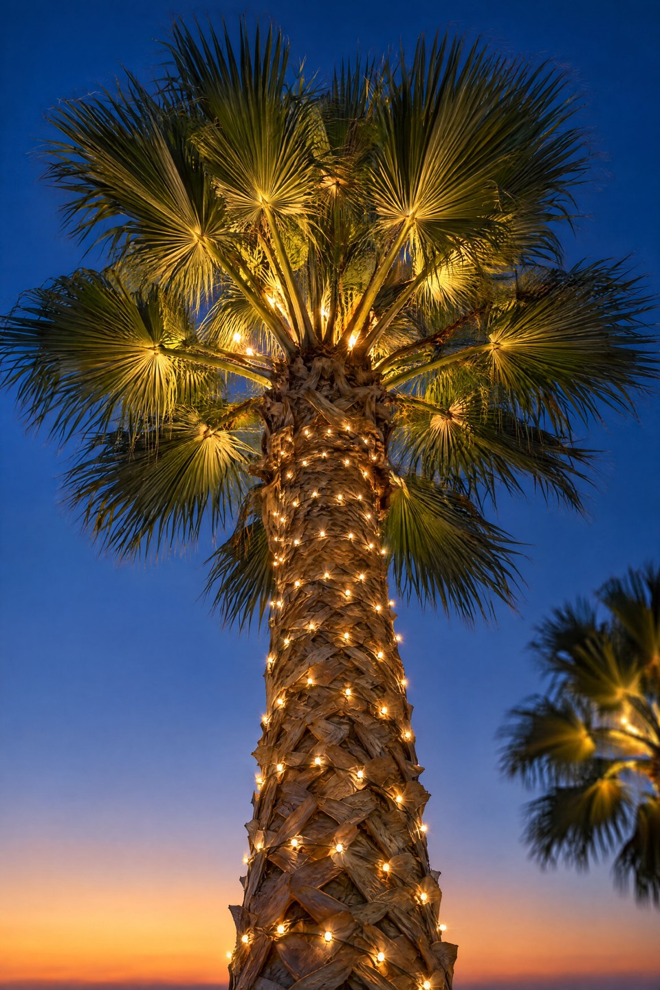 Design visualization: looking up a palm trunk wrapped in warm white mini lights into a softly uplit crown of fan fronds against a cobalt sky.