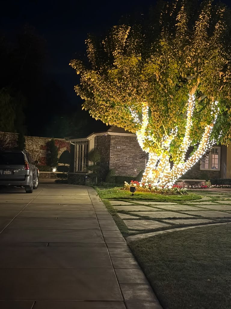 Completed tree lighting with warm white strands illuminating the trunk and branches at night.
